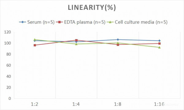 Human FE (Ferritin) CLIA Kit