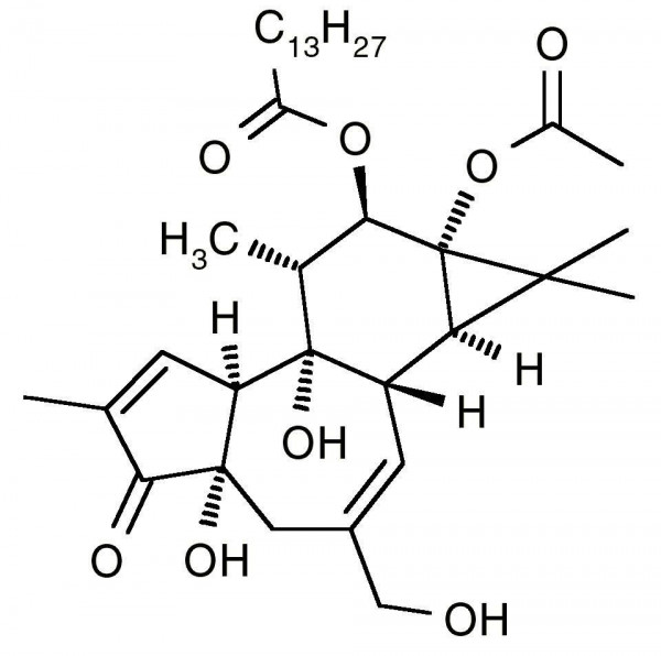 4a-TPA (4a-12-O-Tetradecanoylphorbol 13-Acetate, 4-alpha-Phorbol 12-Myristate 13-Acetate, 4a-PMA)