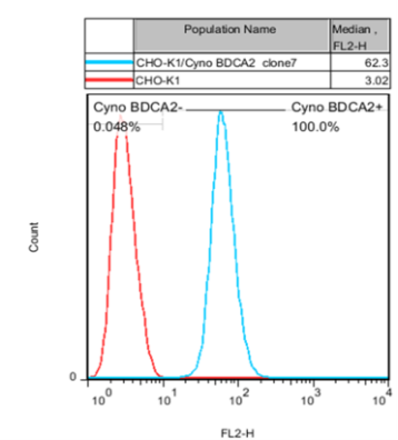 CHO-K1/cyno BDCA2 Stable Cell Line