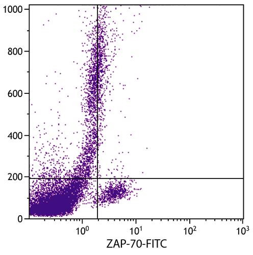 Anti-ZAP-70 (FITC), clone SBZAP