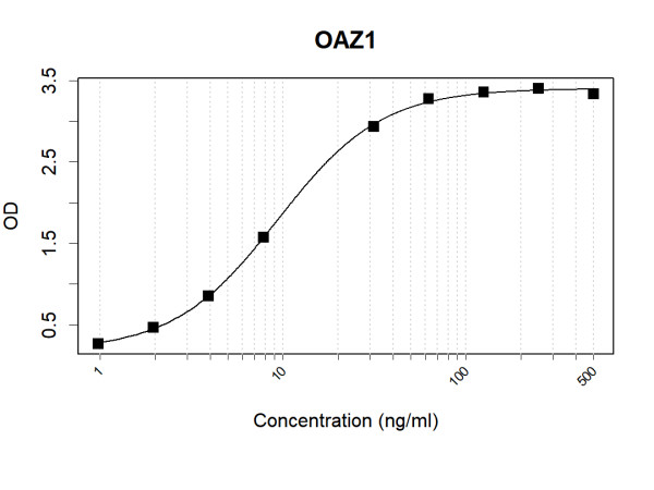 Anti-Human OAZ1 Antibody Pair