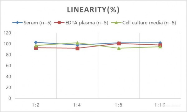 Human CFB (Complement Factor B) ELISA Kit