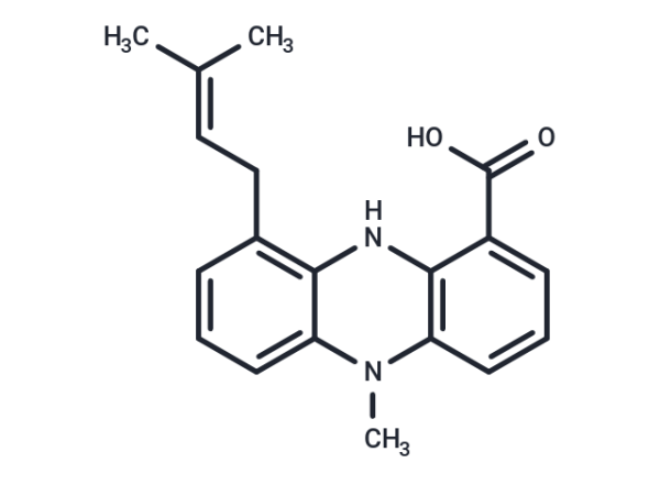 Endophenazine C