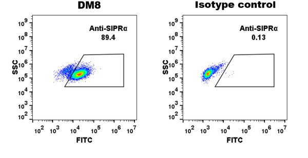 Anti-SIRPa(DM8) antibody, Rabbit mAb