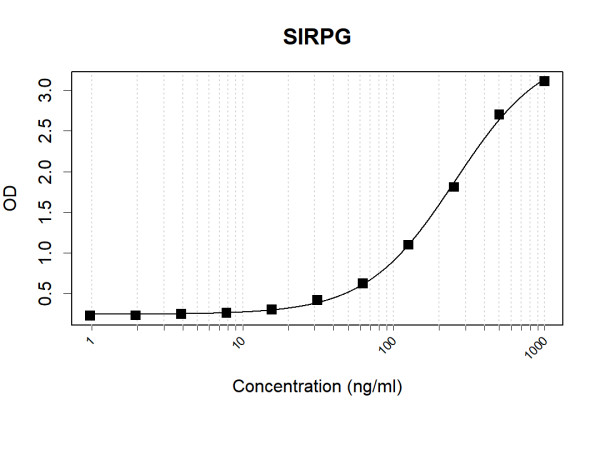 Anti-Human SIRPG Antibody Pair