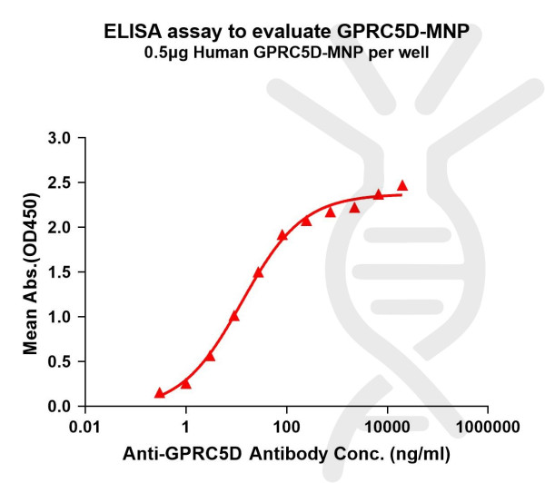 GPRC5D (human) full length protein-MNP