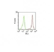 Anti-CD11a(Cris-3), CF488A conjugate, 0.1mg/mL