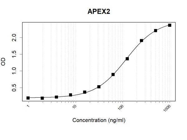 Anti-Human APEX2 Antibody Pair