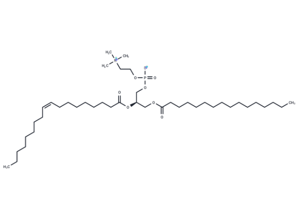 1-Palmitoyl-2-oleoyl-sn-glycero-3-PC