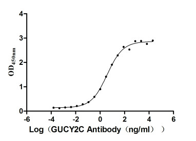 Anti-GUCY2C Recombinant Monoclonal, clone 4G12