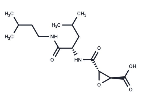 E 64c