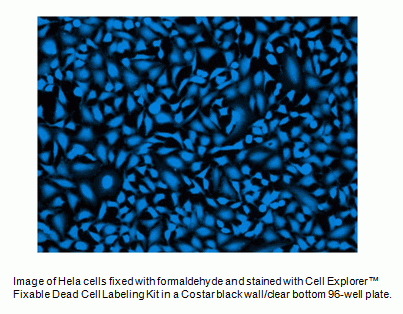 Live or Dead(TM) Fixable Dead Cell Staining Kit *Blue Fluorescence with 405 nm Excitation*