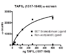 TAF1L (1517-1649), GST-tag, human recombinant protein