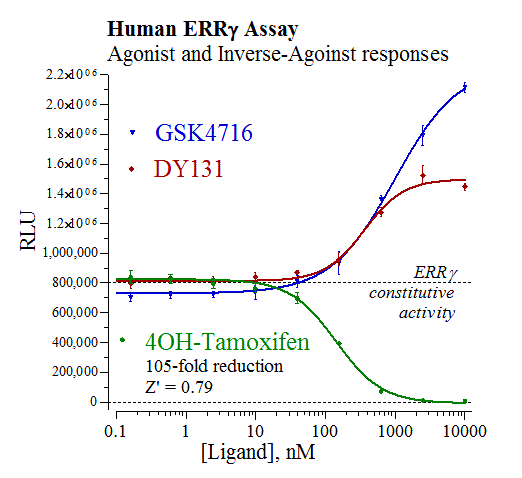 ERRgamma (human) Reporter Assay Kit