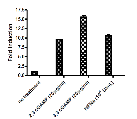 ISRE Luciferase Reporter Lentivirus (JAK/STAT Signaling Pathway)