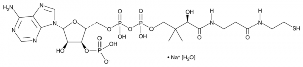 Coenzyme A (sodium salt hydrate)