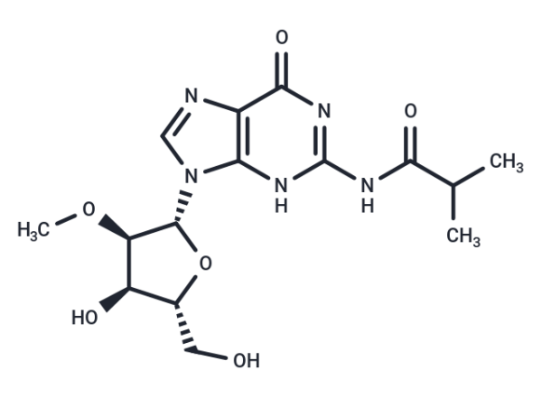 2'-O-Methyl-N2-isobutyroylguanosine