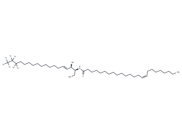 C24:1 Ceramide-d7