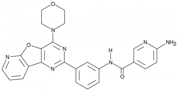 YM-201636