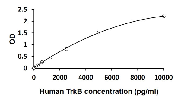 Human TrkB ELISA Kit