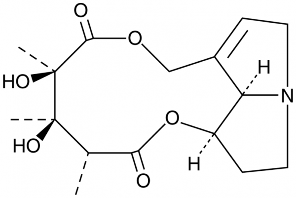 Monocrotaline