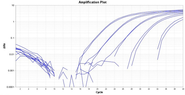 TAQuest(TM) qPCR Master Mix for TaqMan Probes *Low ROX*