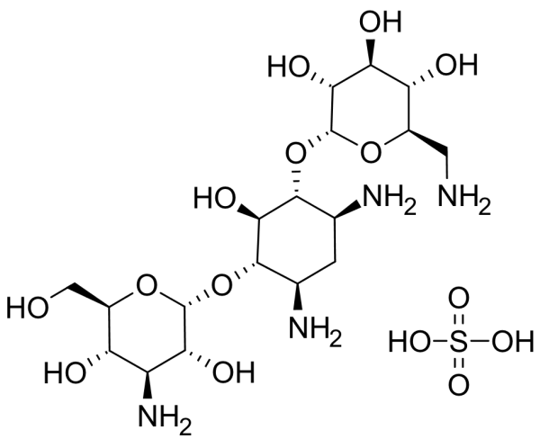 Kanamycin A