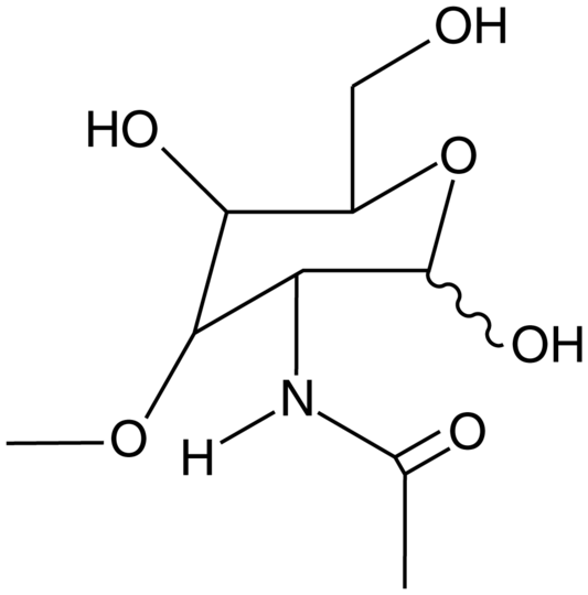 3-O-methyl-N-acetyl-D-Glucosamine
