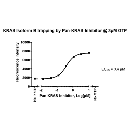 KRAS Isoform B Nucleotide Exchange Assay Kit