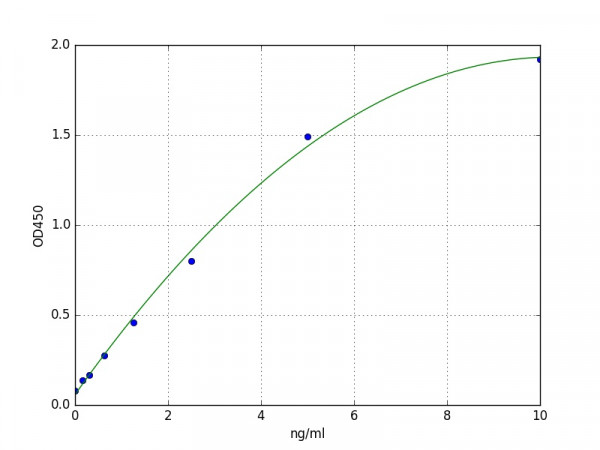 Human Transglutaminase 2 / TGM2 ELISA Kit