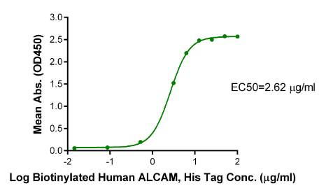 ALCAM/CD166 [Biotin], His, Human