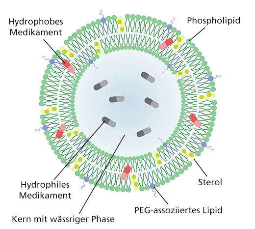 Liposome_DE