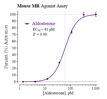MR Reporter Assay System (Mouse)