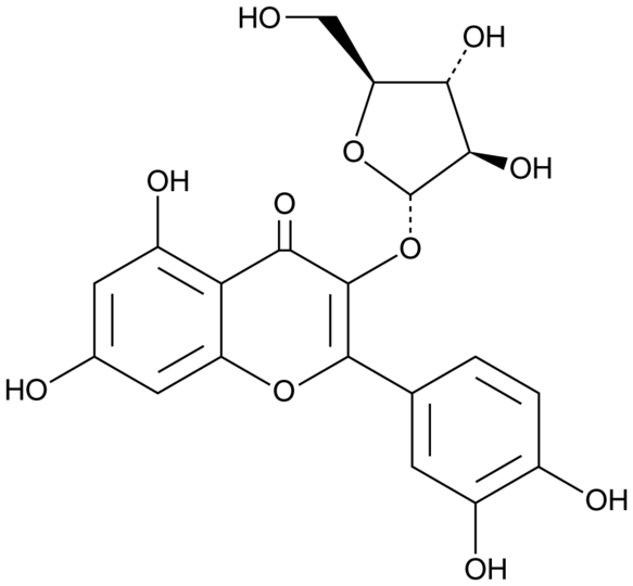 Avicularin