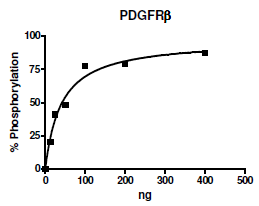PDGFRb, active human recombinant protein