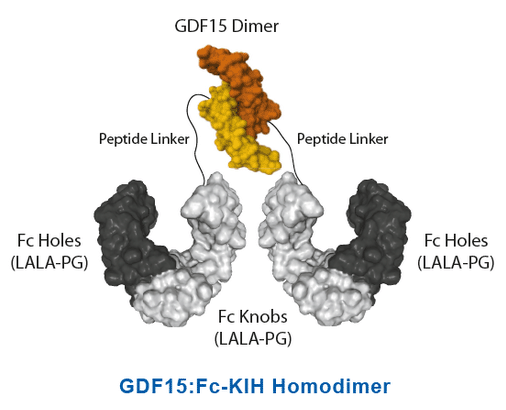InVivoKines_GDF-15