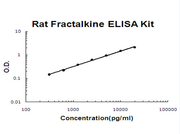 Rat Fractalkine ELISA Kit