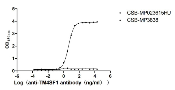 Anti-TM4SF1 Recombinant Monoclonal, clone 6B3