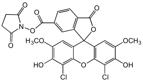 6-Carboxy-4&#039;,5&#039;-dichloro-2&#039;, 7&#039;-dimethoxyfluorescein succinimidyl ester