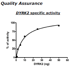 DYRK2