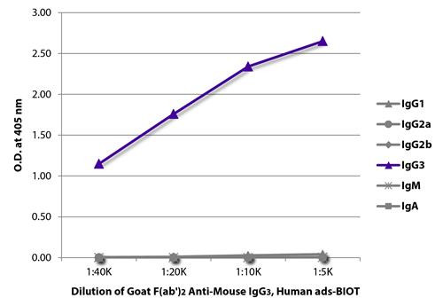 Anti-Mouse IgG3 antibody, F(ab&#039;)2 fragment (Biotin), pre-adsorbed [Goat]