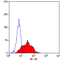 Anti-CD105 / Endoglin (RPE), clone SN6