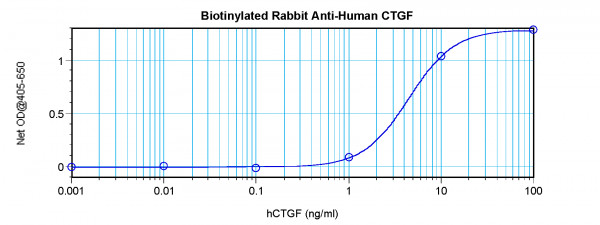 Anti-CTGF (Biotin)
