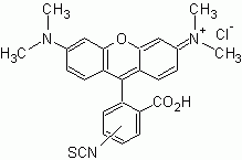 5(6)-TRITC [Tetramethylrhodamine-5-(and-6)-isothiocyanate]