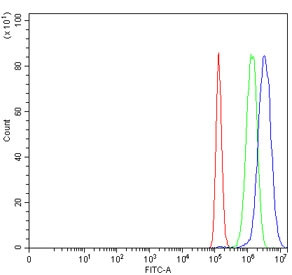 Anti-Growth factor receptor bound protein 2 / GRB2
