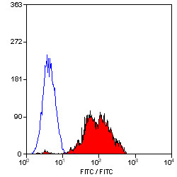 Anti-CD29 / Integrin beta 1, clone 4B7R