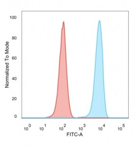 Anti-SET / Protein SET / TAFI, clone PCRP-SET-1C6