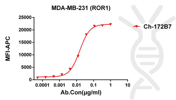Anti-ROR1 antibody(172B7), IgG1 Chimeric mAb