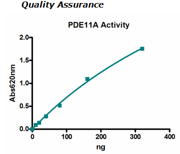 PDE11A4, active human recombinant protein