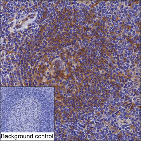 Anti-PIK3AP1